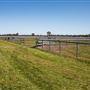 Gold Front Breeding & Racing