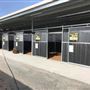 Gold Front Breeding & Racing
