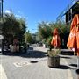Fremantle City