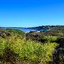 Hangover Bay