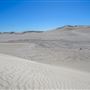 Lancelin