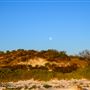 Milligan Island Eco Camping