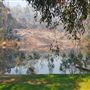Lake Nenia