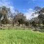 Glenferrie