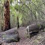 Porongorup National Park