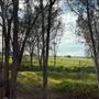 Kargotich Rd