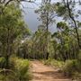 Beelu National Park
