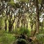 Whiteman Park