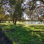 Whiteman Park