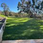 975 Viveash Road