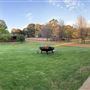 Sarlia Park
