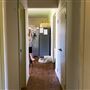 11 Dalgetty Road