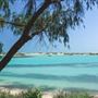 Coconut Wells (Goolarabooloo Millibinyarri)