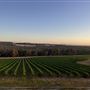 Shepherds Hut Winery