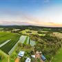 Duke's Vineyard
