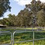 Alwyn Park Stud
