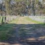 Alwyn Park Stud
