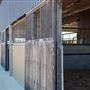 Gold Front Breeding & Racing