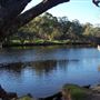 Swan River