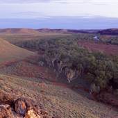Carawine Gorge & The Oakover River