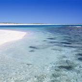Ningaloo Marine Park, Gascoyne