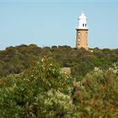 Woodman Light