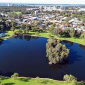 Jualbup Lake - Shenton Park