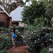 Rose Garden at Edenvale Homestead