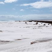Wedge Island