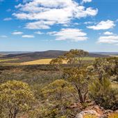 Mount Matilda Walking Trail