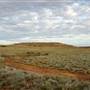 Coolgardie Outskirts