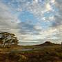 Coolgardie Outskirts