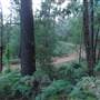 Beelu National Park