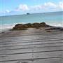 Hamelin Bay