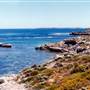 Rottnest Island