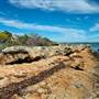 Shark Bay