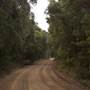 Thomas Rd - Lower Denmark