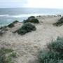 The Spot