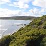 Gracetown