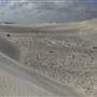 Lancelin
