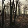 Great Eastern  Highway