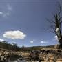 John Forrest National Park
