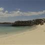 Rottnest Island
