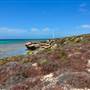 Abrolhos Islands - East Wallabi