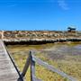 Abrolhos Islands - East Wallabi