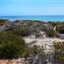 Abrolhos Islands - East Wallabi