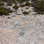 Abrolhos Islands - East Wallabi