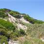 Garden Island - Gilbert Point - from land