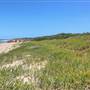 Garden Island - Gilbert Point - from land