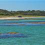 Garden Island - Gilbert Point - from water